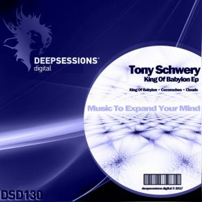 Download track King Of Babylon (Original Mix) Tony Schwery