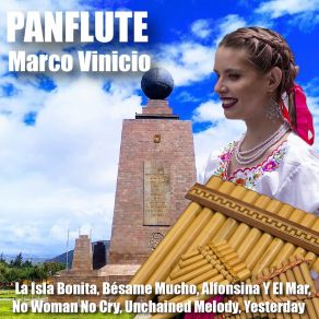 Download track Ave De Cristal (Panflute Version) Marco Vinicio