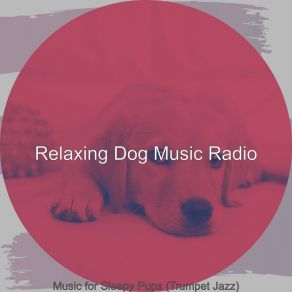 Download track Friendly Ambience For Well Behaved Dogs Relaxing Dog Music Radio