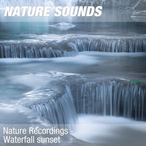 Download track Nature Sounds For Study, Focus & Learning (Lovely Waterfall) 25 Nature Sounds