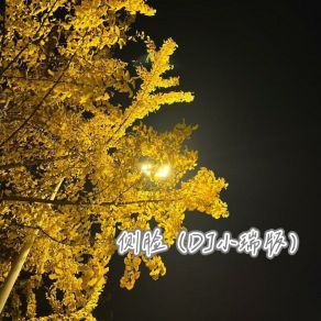 Download track 侧脸 (0.8x) 小瑞