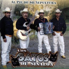 Download track El Comandante Juanito Los Gatos De Sinaloa