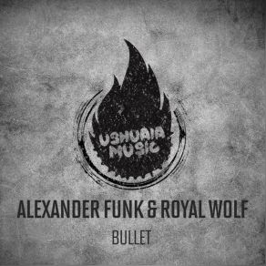 Download track Bullet Alexander De Funk