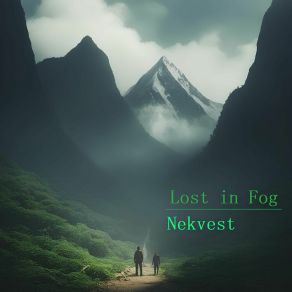 Download track Lost In Fog Nekvest