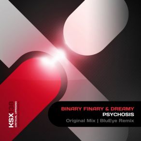 Download track Psychosis (Original Mix) Binary Finary, Dreamy