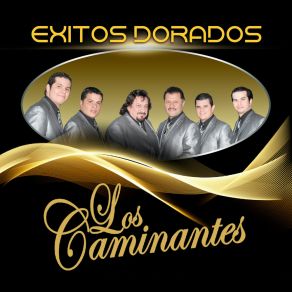 Download track Botellitas De Licor Los Caminantes