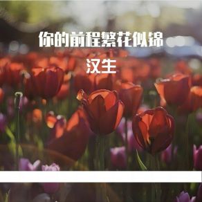 Download track 你的前程繁花似锦 汉生