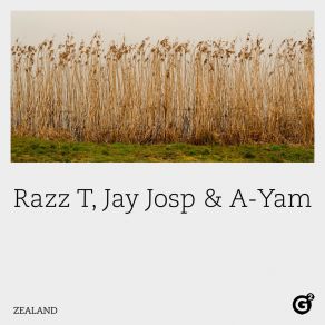 Download track Rain Waltz A-Yam