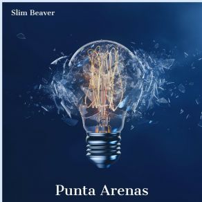 Download track Punta Arenas Slim Beaver