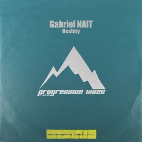 Download track Destiny (Radio Edit) Gabriel NAIT