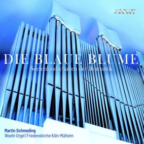 Download track Fantasie Op. 77 Martin Schmeding