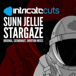 Download track Stargaze (Envotion Remix) Sunn Jellie