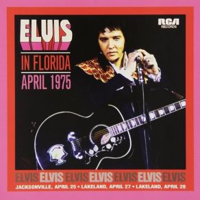 Download track Heartbreak Hotel (Bonus Track) Elvis Presley