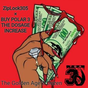 Download track Police ZipLock305