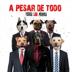 Download track Déjalo Todos Los Perros