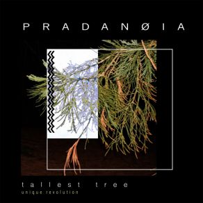 Download track Tallest Tree (Jens Jakob Remix) PradanøiaJens Jakob