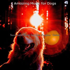 Download track Subdued Training Dogs Amazing Music For Dogs