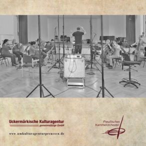 Download track Serenade Für Streichorchester In C-Dur, Op. 48: 4. Finale (Tema Russo) Preußisches Kammerorchester