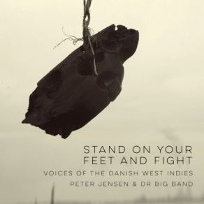 Download track Fireburn Danish Radio Big Band, Peter Jensen