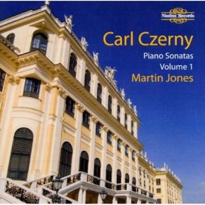 Download track Piano Sonata No. 9 In H-Moll, Op. 145 - III. Adagio. Molto Espressivo Carl Czerny, Martin Jones