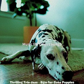 Download track Incredible Separation Anxiety Music For Dogs Lounge