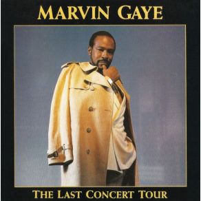 Download track I Heard It Through The Grapevine Marvin Gaye