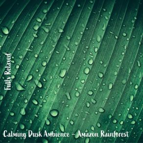 Download track Calming Dusk Ambience - Amazon Rainforest, Pt. 3 Steve Brassel