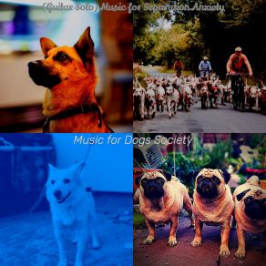 Download track Smart Backdrops For Training Dogs Music For Dogs Society