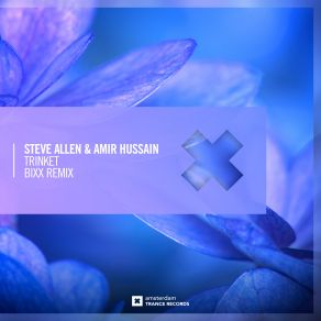 Download track Trinket (BiXX Extended Mix) Steve Allen, Amir Hussain