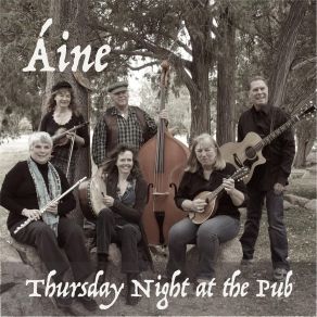 Download track Ballydesmond Polkas 1, 2 & 3 Aine