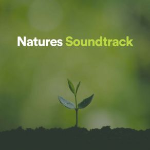 Download track Flowing River Sounds Nature Sounds