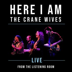 Download track Drown You Out (Live) The Crane Wives