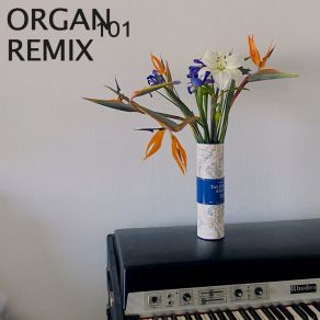 Download track Organ 101 (Remix) Benjamin FincherRemix, Itoladisco