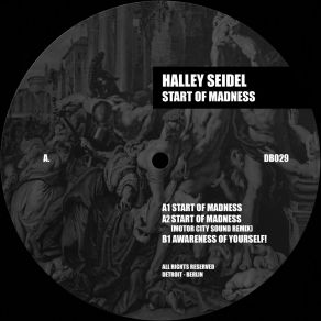 Download track Awareness Of Yourself! (Original Mix) Halley Seidel