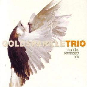 Download track Williamsburg Concerto # 1.2 Goldsparkle Trio