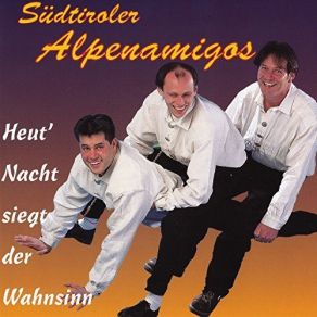 Download track Sehnsucht Nach Meiner Heimat Südtiroler Alpenamigos