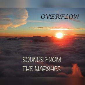 Download track Overflow And Rebirth Sounds From The Marshes