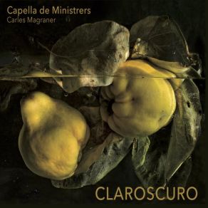 Download track Diferencias Sobre Guárdame Las Vacas Capella De Ministrers, Carles Magraner