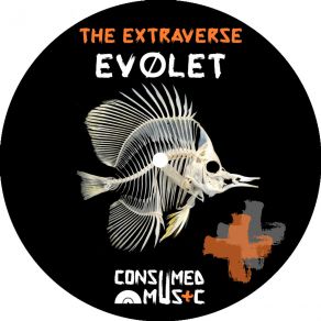 Download track Evolet (Original Mix) Extraverse