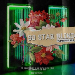 Download track So Star Blind (Clean) Flower Boyz