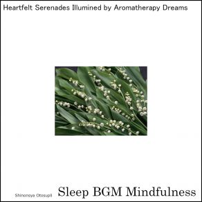 Download track Sound Healing For Mental Focus And Deep Connection Sleep BGM Mindfulness