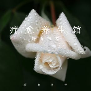 Download track 疗愈钢琴相遇 疗愈音律