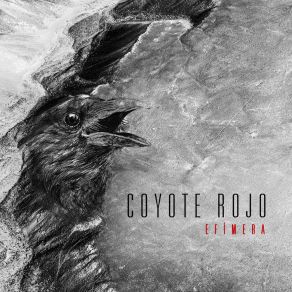 Download track Efímera Coyote Rojo