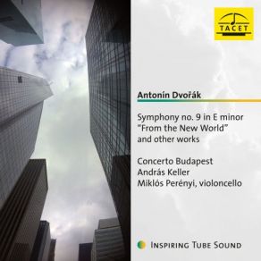 Download track Symphony No. 9 In E Minor, Op. 95, B. 178 From The New World I. Adagio - Allegro Molto Miklós Perényi, András Keller, Concerto Budapest