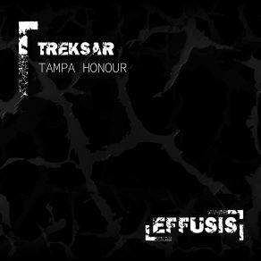 Download track Tampa Honour (Original Mix) Treksar