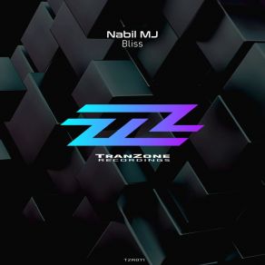 Download track Bliss (Original Mix) Nabil MJ