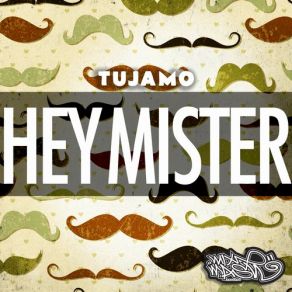 Download track Hey Mister (Original Mix) Tujamo