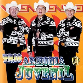Download track Si Te Vuelves A Enamorar Trio Armonia Juvenil
