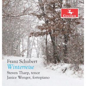 Download track Winterreise, Op. 89, D. 911 No. 9, Irrlicht Steven Tharp, Janice Wenger