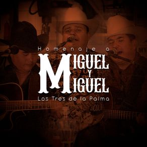 Download track Juanita Y Miguel Los Tres De La Palma